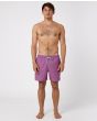 Hombre con Bañador elástico Rip Curl Daily Volley 16" morado frontal