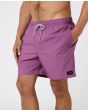 Hombre con Bañador elástico Rip Curl Daily Volley 16" morado lateral