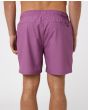 Hombre con Bañador elástico Rip Curl Daily Volley 16" morado posterior