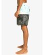 Hombre con Bañador Boardshort Quiksilver Butt Logo Volley 17" Negro lateral