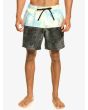 Hombre con Bañador Boardshort Quiksilver Butt Logo Volley 17" Negro