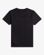 Camiseta de manga corta Billabong Arch negra para niños de 8 a 16 años posterior