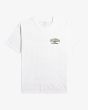 Camiseta de manga corta Billabong Arch Dreamy Place blanca para hombre