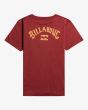 Camiseta de manga corta Billabong Arch Fill roja para niños de 8 a 16 años posterior