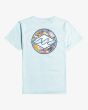 Camiseta de manga corta Billabong Rotor Diamond azul celeste para chicos de 8 a 16 años posterior