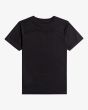 Camiseta de manga corta Billabong Trademark Boy negra para chico de 8 a 16 años posterior