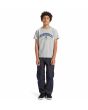 Niño con Camiseta de manga corta Dc Shoes Orientation Gris ajuste regular
