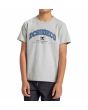 Niño con Camiseta de manga corta Dc Shoes Orientation Gris