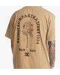 Hombre con camiseta de Manga Corta DC Shoes Reach For It marrón claro espalda