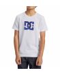 Niño con Camiseta de manga corta DC Shoes DC Star Fill Blanco-Camo