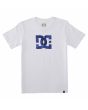 Camiseta de manga corta DC Shoes DC Star Fill Blanco-Camo para niños 8-16 años