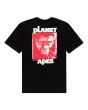 Camiseta de manga corta Element Brand Pota Dominion negra para hombre
