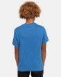 Niño con Camiseta de manga corta Element Vertical Youth Azul Cobalto posterior