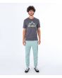 Hombre con camiseta de manga corta Hurley EVD Explore Mountain Man gris frontal