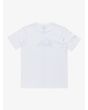 Camiseta Quiksilver Ev Comp Logo Blanca para chico 8-16 años posterior