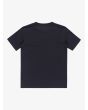 Camiseta de manga corta Quiksilver EV Gradient Box azul marino oscuro para chico 8-16 años posterior