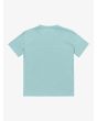 Camiseta de manga corta Quiksilver Ev Skull Feast Aquifer para chico 8-16 años posterior