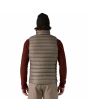 Hombre con chaleco Patagonia Down Sweater Vest Marrón posterior