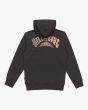 Sudadera con capucha Billabong Youth Foundation Raven para chico 8-16 años posterior