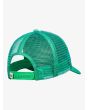 Gorra de malla Roxy Sweet Emotion Verde para niña 2 a 7 años posterior