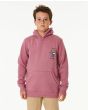 Niño con sudadera de capucha Rip Curl Search Icon Youth Mauve