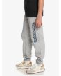 Niño con Pantalón de chándal Quiksilver Trackpant Boy Gris lateral