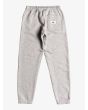 Pantalón de chándal Quiksilver Trackpant Boy Gris para niños de 8 a 16 años posterior