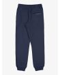 Pantalón de chándal Quiksilver Youth Slim Jogger Azul Marino Oscuro para chico 8-16 años posterior