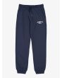 Pantalón de chándal Quiksilver Youth Slim Jogger Azul Marino Oscuro para chico 8-16 años