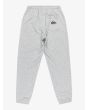 Pantalón de chándal Quiksilver Graphic Gris para chico 8-16 años posterior