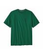 Camiseta de manga corta Patagonia M's Clean Climb Trade Responsibili-Tee Clean Climb Bloom Verde para hombre frontal