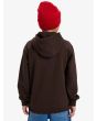 Niño con sudadera de capucha Quiksilver Youth Omni Logo Marrón posterior