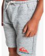 Niño con short de felpa Quiksilver Easy Day gris detalle logo