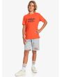 Niño con short de felpa Quiksilver Easy Day gris frontal