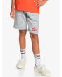 Niño con short de felpa Quiksilver Easy Day gris 