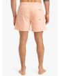 Hombre con Bañador Quiksilver Everyday Volley 15'' Peach Parfait posterior