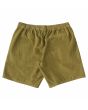 Short de pana DC Shoes Abrupter 18" Verde para hombre posterior