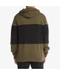 Sudadera con capucha DC Shoes Downing para hombre verde y negra posterior