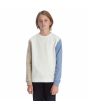 Niño con Sudadera DC Shoes Riot 2 Boy Blanco Hueso 8-16 años