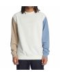 Hombre con sudadera DC Shoes Riot 2 blanca