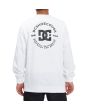 Hombre con sudadera DC Shoes Star Pilot blanca posterior