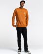 Hombre con sudadera Element Brand Cornell Classic naranja unisex frontal