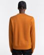 Hombre con sudadera Element Brand Cornell Classic naranja unisex posterior