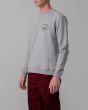 Hombre con Sudadera Lightning Bolt Venice Surf Co Gris lateral