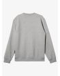 Sudadera Quiksilver Graphic Youth gris claro para niño 8-16 años postesrior