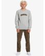 Niño con Sudadera Quiksilver Graphic gris claro corte clásico
