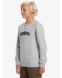Niño con Sudadera Quiksilver Graphic gris claro lateral