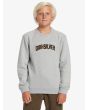 Niño con Sudadera Quiksilver Graphic gris claro