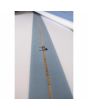 Detalle stringer Tabla de surf longboard Summer Vibes Performance 9'1'' azul/blanco con sistema de quillas 2+1