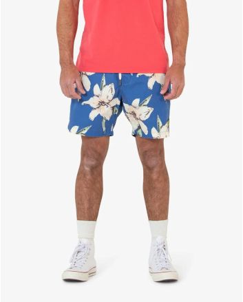 Hombre con Bañador Boardshort Deus Ex Machina Havana Mesh 16" Azul